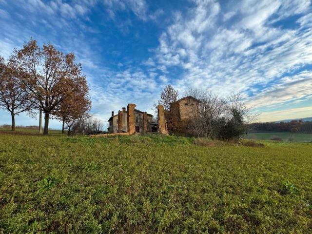 Rustico in vendita a Unione di comuni Terre di Castelli, Castelvetro Di Modena