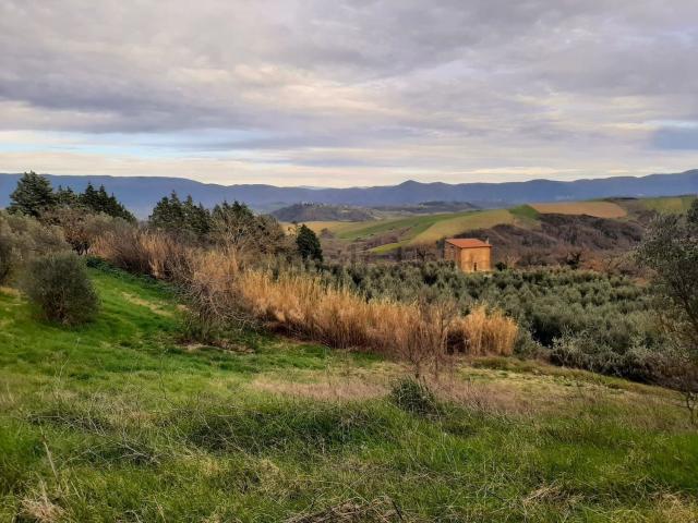 Rustico in vendita a Izzalini, Umbria