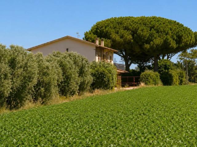 Rustico in vendita a Riva dei Tarquini, Tarquinia