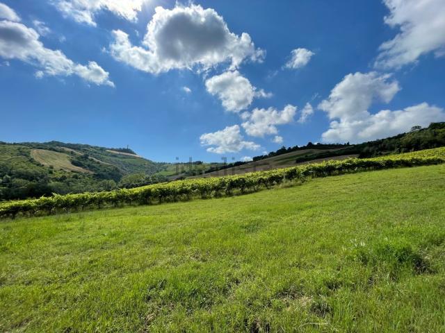 Rustico in vendita a Petrella, Marche
