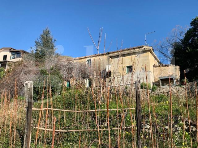 Rustico in vendita a Calabria, Cosenza