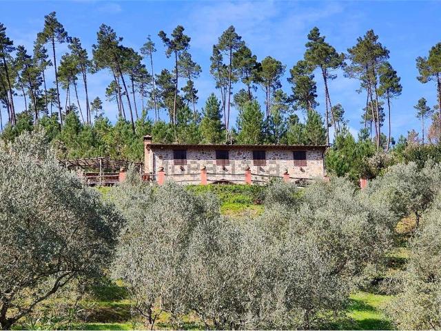 Rustico in vendita a La Croce, Buti
