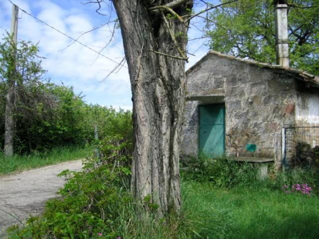 Rustico in vendita a Gallese, Lazio
