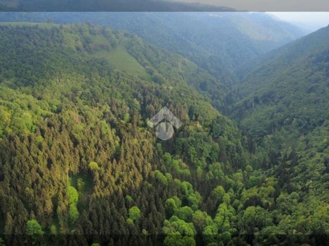 Rustico in vendita a Bosco Chiesanuova, Veneto