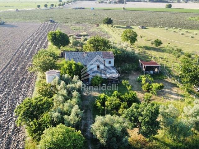 Rustico in vendita a Marche, Fermo
