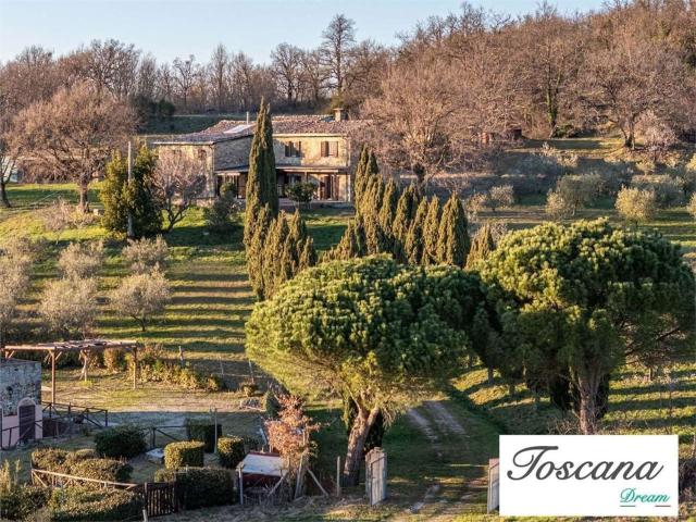 Rustico in vendita a Castelnuovo Val Di Cecina, Toscana