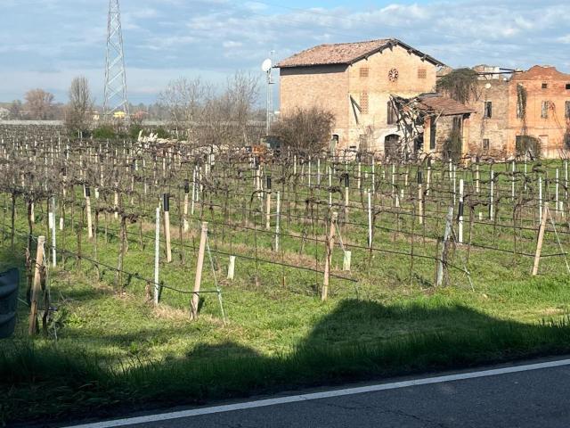 Rustico in vendita a Unione di comuni Terre di Castelli, Castelnuovo Rangone