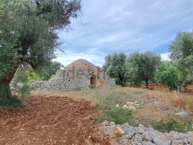 Rustico in vendita a Puglia, Brindisi