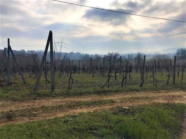 Rustico in vendita a Civitella in Val di Chiana, Ciggiano