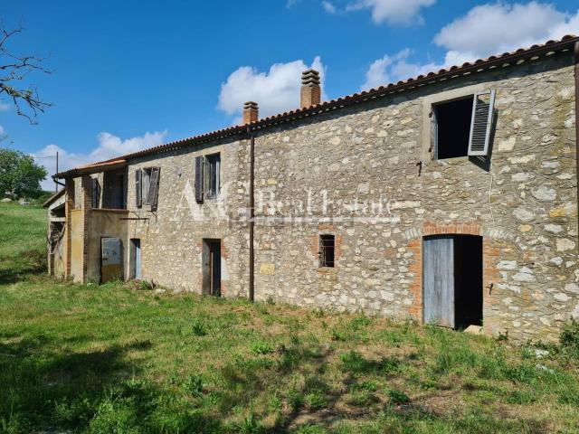 Rustico in vendita a Scansano, Toscana