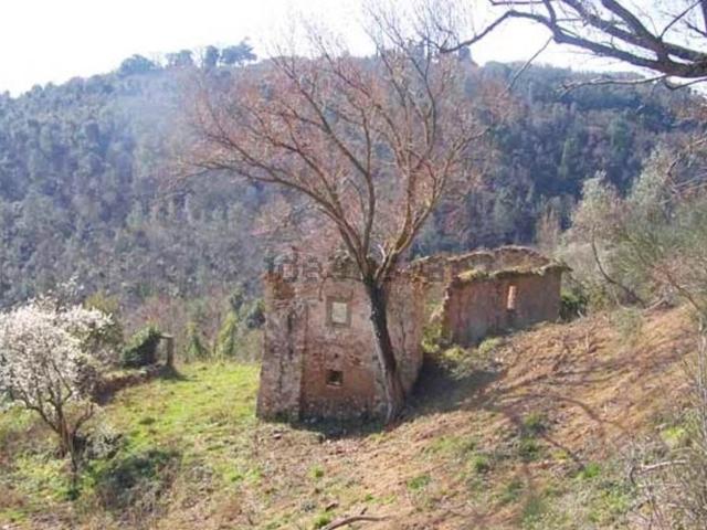 Rustico in vendita a Colognole, Collesalvetti