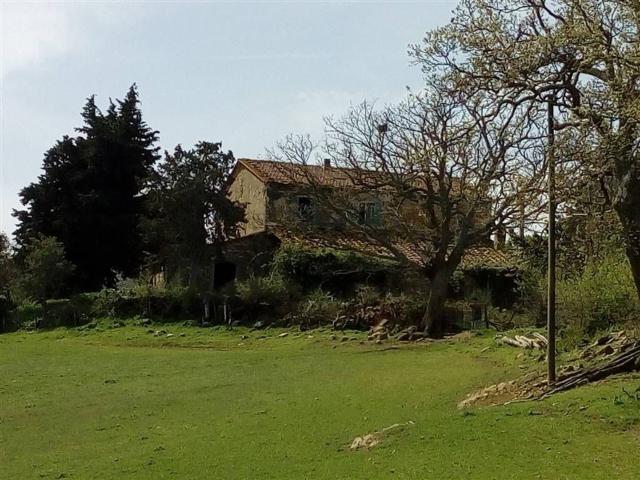 Rustico in vendita a Scansano, Toscana