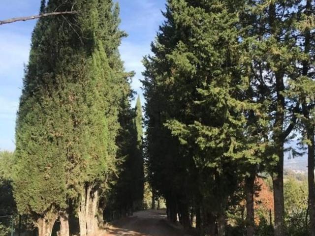 Rustico in vendita a Montevarchi, Toscana