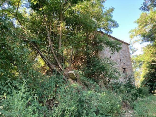 Rustico in vendita a Marche, Pesaro E Urbino