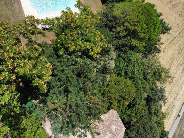 Rustico in vendita a Contrada Piangiano, Marche