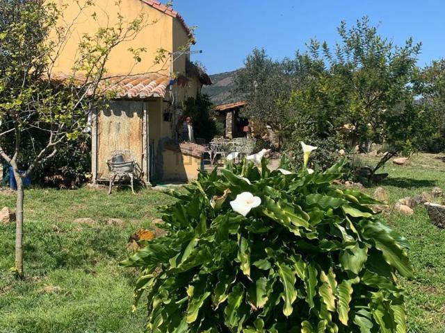 Rustico in vendita a Guspini, Sardigna/Sardegna