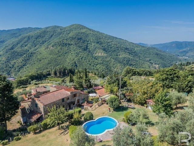 Rustico in vendita a Unione di Comuni Valdarno e Valdisieve, Londa