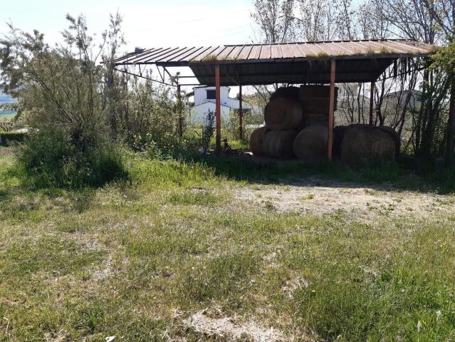 Rustico in vendita a Atri, Teramo