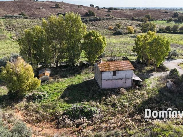 Rustico in vendita a Capalbio, Toscana