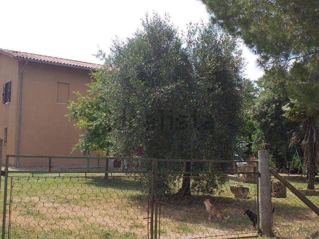 Rustico in vendita a Unione di Comuni Montani Colline del Fiora, Manciano