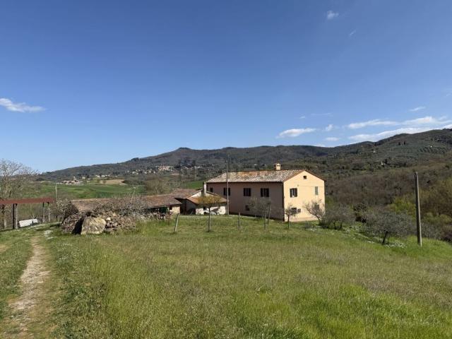 Rustico in vendita a Strigaia, Paciano