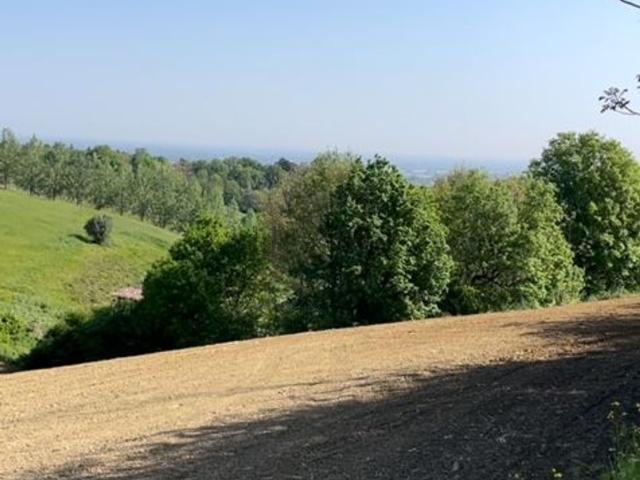 Rustico in vendita a Unione di comuni Terre di Castelli, Castelvetro Di Modena