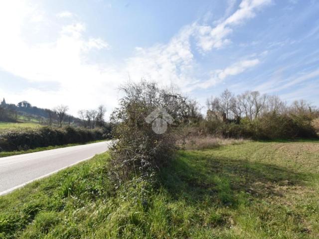 Rustico in vendita a Vecciano, Coriano