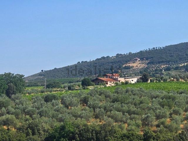 Rustico in vendita a San Martino, Montecchio