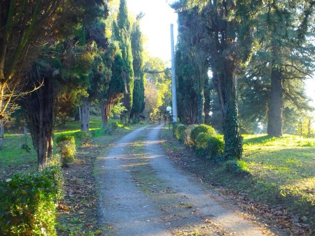 Rustico in vendita a Unione dei comuni Valle del Savio, Cesenà