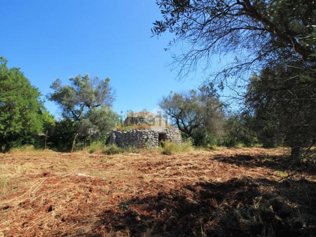 Rustico in vendita a Puglia, Brindisi