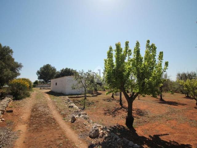 Rustico in vendita a Puglia, Brindisi