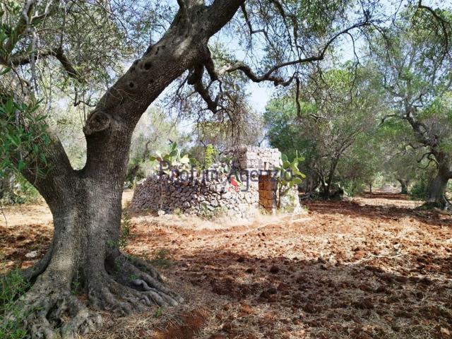 Rustico in vendita a Puglia, Brindisi