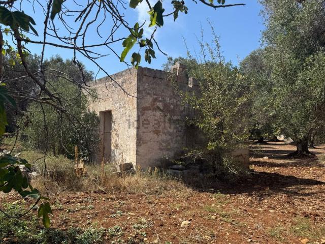 Rustico in vendita a Carovigno, Brindisi