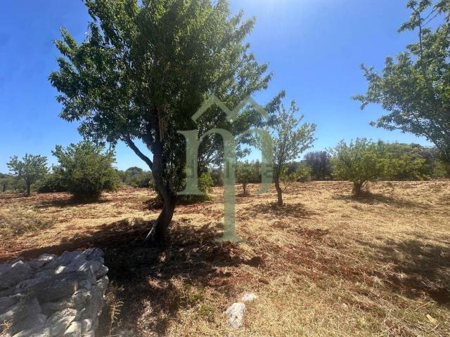 Rustico in vendita a Puglia, Brindisi