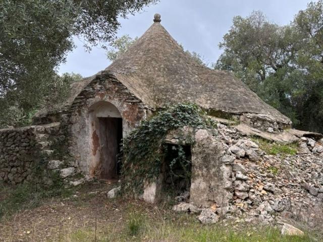 Rustico in vendita a Puglia, Brindisi
