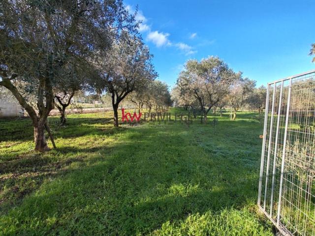 Rustico in vendita a Francavilla Fontana, Brindisi