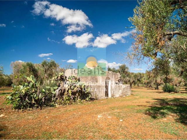 Rustico in vendita a Puglia, Brindisi