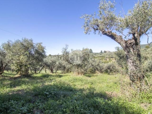Rustico in vendita a Casa Serafini, Palombara Sabina