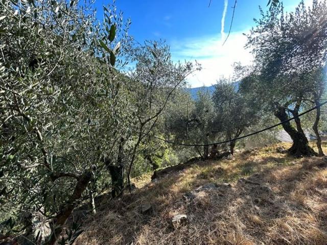 Rustico in vendita a Badalucco, Provincia di Imperia