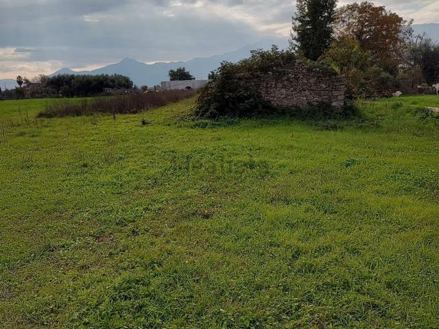 Rustico in vendita a Ferentino, Lazio