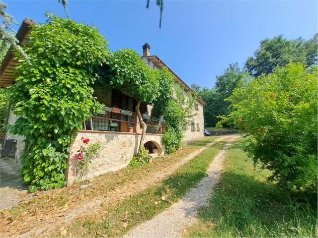 Rustico in vendita a San Venanzo, Umbria