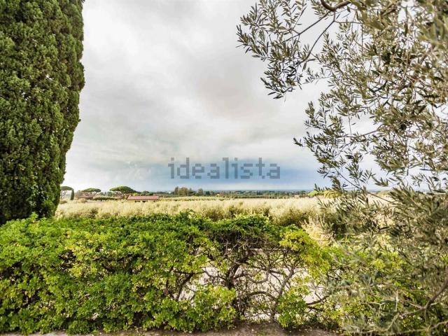 Rustico in vendita a Bolgheri, Toscana