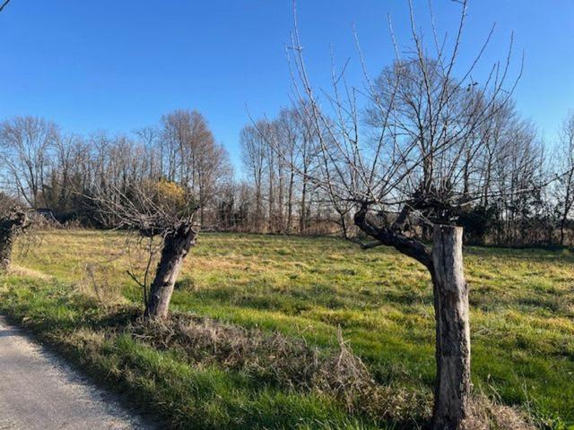 Rustico in vendita a Mogliano Veneto, Veneto