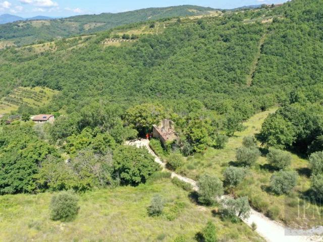 Rustico in vendita a Cenerente, Umbria