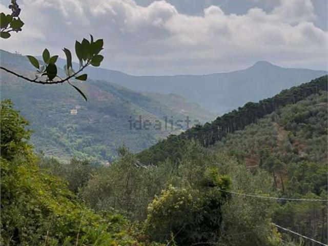 Rustico in vendita a San Donato, Calci