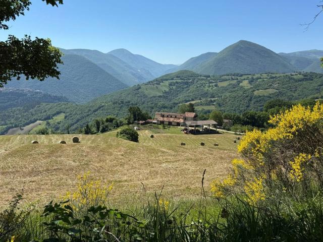Rustico in vendita a Cerreto Di Spoleto, Umbria