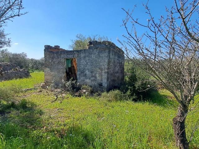 Rustico in vendita a Puglia, Brindisi
