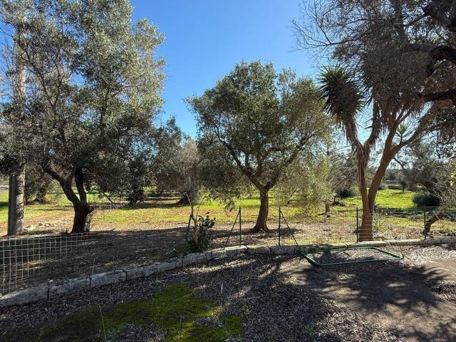 Rustico in vendita a Puglia, Brindisi