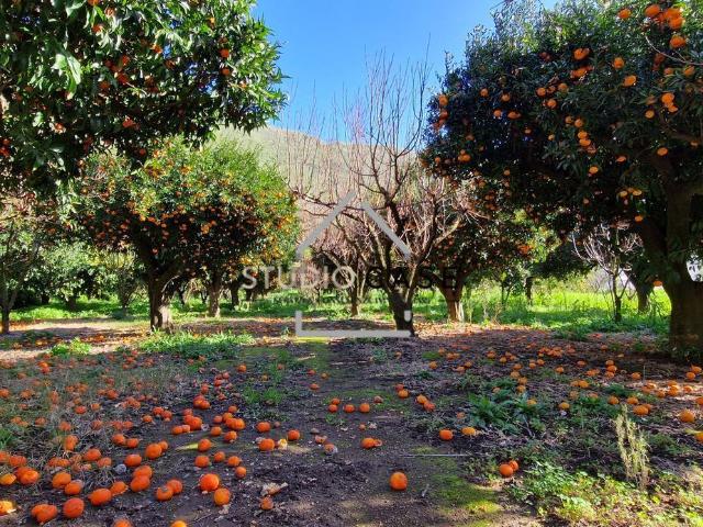 Rustico in vendita a Toiano, Pozzuoli
