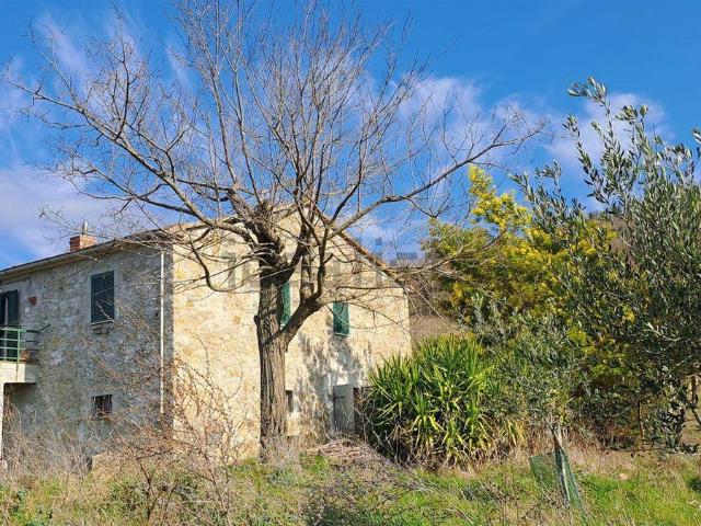 Rustico in vendita a Le Case, Scansano
